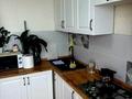 1-комнатная квартира · 42.4 м² · 7/7 этаж, Бейсебаева 147/2 — Газового хозяйства за 22 млн ₸ в Каскелене — фото 3