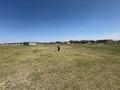 Участок · 10 соток, мкр Бектобе за 7.5 млн ₸ в Таразе — фото 4