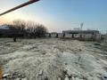 Участок · 8 соток, мкр Жидели за 8.5 млн ₸ в Шымкенте, Абайский р-н — фото 3