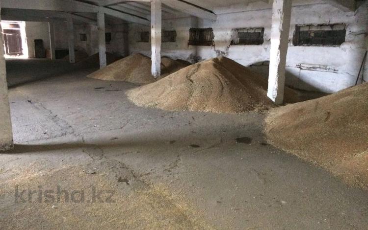 Свободное назначение, склады, общепит, сельское хозяйство · 1300 м² за 380 млн ₸ в Топаре — фото 2