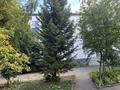 3-комнатная квартира · 100 м² · 2/3 этаж, Абая 52 за 60 млн ₸ в Кокшетау — фото 10