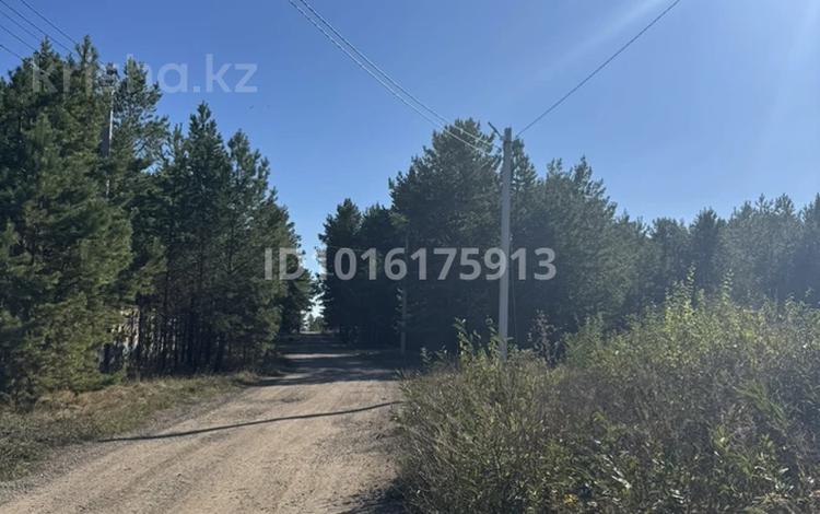 Участок · 22.5 соток, Луговая 13 — Зерендинские дачи за 17.5 млн ₸ в Кокшетау — фото 2