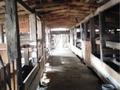 Отдельный дом · 3 комнаты · 80 м² · 15 сот., Микрорайон 1 за 15 млн ₸ в Ельток — фото 5