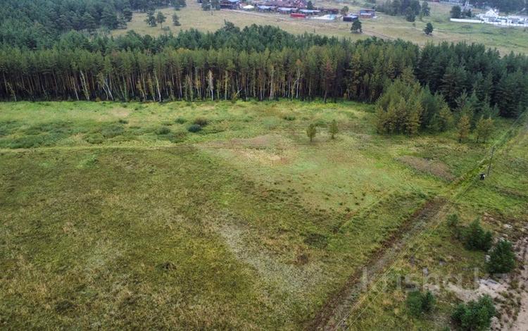 Жер телімі · 1.2 га, Сарыбулак, бағасы: 170 млн ₸ — фото 2