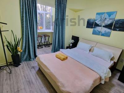 1-комнатная квартира · 18 м² · 2/5 этаж, Пушкина 41 — Пушкина Макатаева за 17 000 ₸ в Алматы, Медеуский р-н