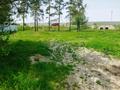 Участок · 6 соток, Северная 35 за 11 млн ₸ в Кендале — фото 4
