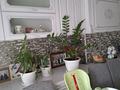 3-бөлмелі пәтер · 81.2 м² · 2/3 қабат, Сулейманова 270, бағасы: 24 млн ₸ в Таразе — фото 7