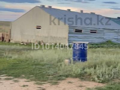 Участок · 3000 га, Актобе за 70 млн ₸
