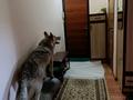 2-бөлмелі пәтер · 55 м² · 3/5 қабат, Восток, бағасы: 22 млн ₸ в Шымкенте, Аль-Фарабийский р-н — фото 15