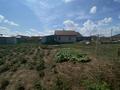 Отдельный дом · 2 комнаты · 50 м² · 12 сот., Баян сулу 89 — Банкетный зал Хан Сарайы за 17 млн ₸ в Косшы — фото 2