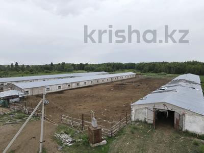 Промбаза · 2 га, А 1 — Село Ерназар за 32 млн ₸ в Акколь (свхз.Кокчетавский)