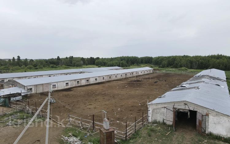 Промбаза · 2 га, А 1 — Село Ерназар за 32 млн ₸ в Акколь (свхз.Кокчетавский) — фото 2