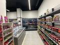 Действующий бизнес — продуктовый магазин · 195.2 м², бағасы: 250 млн ₸ в Алматы, Ауэзовский р-н — фото 17