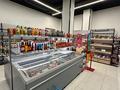 Действующий бизнес — продуктовый магазин · 195.2 м², бағасы: 250 млн ₸ в Алматы, Ауэзовский р-н — фото 19