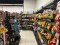 Действующий бизнес — продуктовый магазин · 195.2 м², бағасы: 250 млн ₸ в Алматы, Ауэзовский р-н — фото 25
