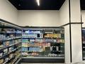 Действующий бизнес — продуктовый магазин · 195.2 м², бағасы: 250 млн ₸ в Алматы, Ауэзовский р-н — фото 44
