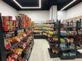 Действующий бизнес — продуктовый магазин · 195.2 м², бағасы: 250 млн ₸ в Алматы, Ауэзовский р-н — фото 47