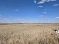 Жер телімі · 338.8 сотық, Үркер, бағасы: 300 млн ₸ в Астане, Нура р-н — фото 9