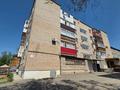 4-бөлмелі пәтер · 118.2 м² · 5/5 қабат, Пушкина 140к1, бағасы: 39 млн ₸ в Костанае — фото 26