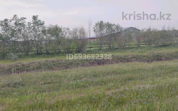 Участок · 3 га, Кырбалтабай за 9.2 млн ₸ — фото 3