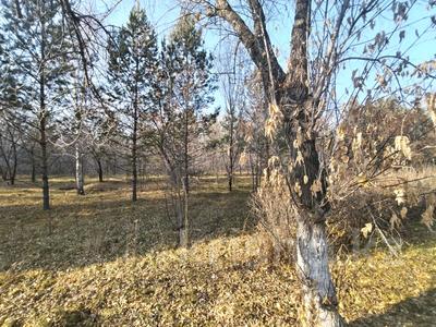 Участок · 72 сотки, Жибек жолы за 80 млн 〒 в Усть-Каменогорске