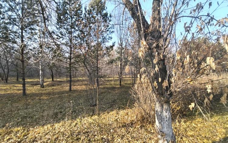 Жер телімі · 72 сотық, Жибек жолы, бағасы: 80 млн 〒 в Усть-Каменогорске — фото 2