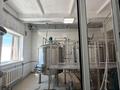 Свободное назначение, общепит · 460 м² за 2 млн ₸ в Шортандах — фото 12