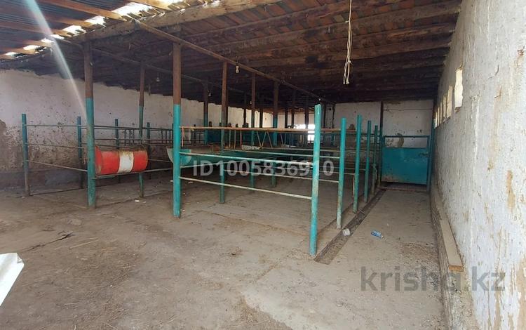 Отдельный дом · 3 комнаты · 82 м² · 10 сот., Район Аль Фараби за ~ 8 млн 〒 в  — фото 5