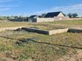 Отдельный дом · 3 комнаты · 55 м² · 10 сот., Аязбаев Бекш 212 — В доль трассы со стороны магазин Фемели в сторону Нуры за 16 млн ₸ в Алатау — фото 10