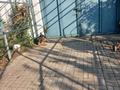 Отдельный дом · 6 комнат · 249 м² · 12 сот., Домостроительная 1а за 60 млн ₸ в Шымкенте — фото 23