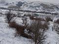 Участок · 14 га, Выше БАКа за 80 млн ₸ в Байдибек би — фото 6