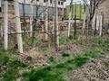 Отдельный дом · 4 комнаты · 90 м² · 4.6 сот., Желтоксан 148 за 55 млн ₸ в Шымкенте, Аль-Фарабийский р-н — фото 7