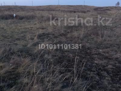 Жер телімі · 10 сотық, Акколь, бағасы: 7.3 млн ₸