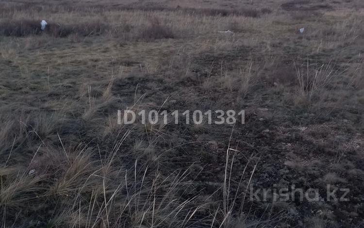 Жер телімі · 10 сотық, Акколь, бағасы: 7.3 млн ₸ — фото 2