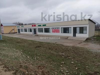 Еркін · 280 м², бағасы: 80 млн ₸ в Ленгере