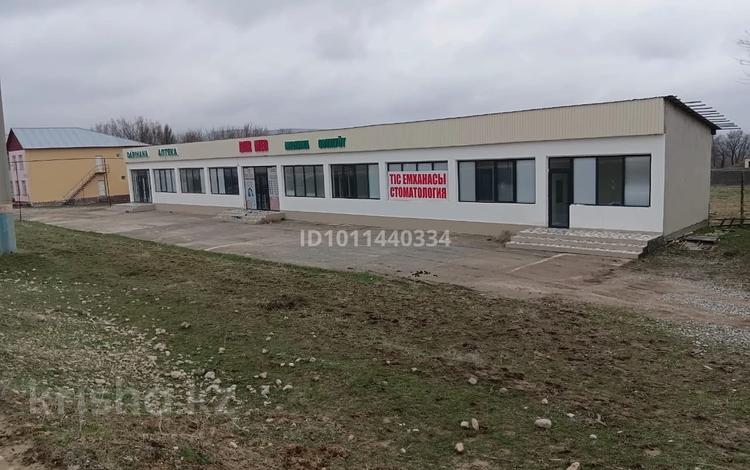 Еркін · 280 м², бағасы: 80 млн ₸ в Ленгере — фото 2