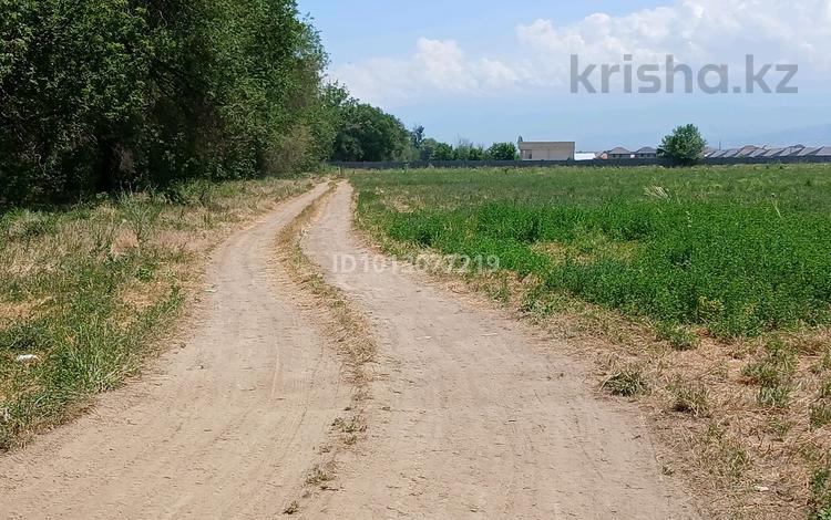 Еркін · 17000 м², бағасы: 1 млн ₸ в Каскелене — фото 2