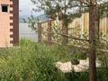 Жеке үй · 6 бөлме · 250 м² · 10 сот., Жобалама 1, бағасы: 29 млн ₸ в Шалкар — фото 5
