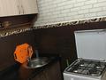 1-бөлмелі пәтер · 31 м² · 2/4 қабат, мкр №11 14, бағасы: 190 000 ₸ в Алматы, Ауэзовский р-н