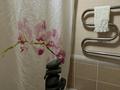 3-комнатная квартира · 67.5 м² · 2/5 этаж, Кабанбай батыра 82 за 45 млн ₸ в Усть-Каменогорске, Ульбинский — фото 10