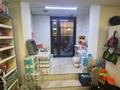 Дүкендер мен бутиктер · 70 м², бағасы: 36 млн ₸ в Астане, Сарыарка р-н — фото 7