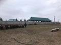 Сельское хозяйство • 23000 м² за 250 млн 〒 в Шымкенте, Абайский р-н — фото 15