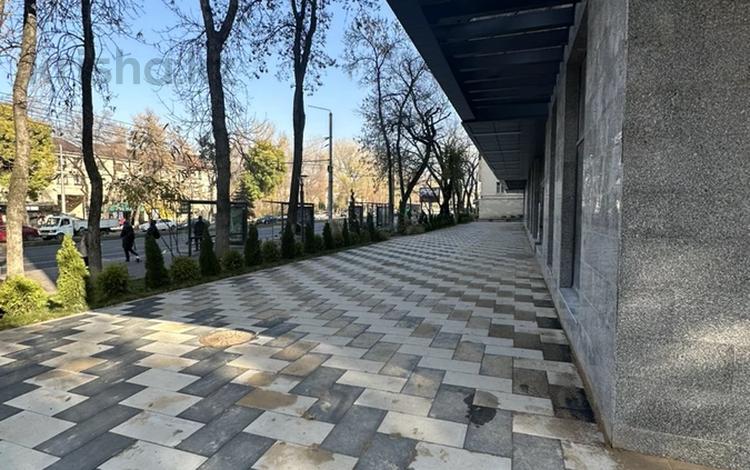 Еркін, кеңселер, дүкендер мен бутиктер, қоғамдық тамақтану орны, сұлулық салондары · 677 м², бағасы: ~ 10.2 млн ₸ в Алматы, Алмалинский р-н — фото 2