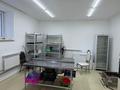 Отдельный дом · 8 комнат · 500 м² · 15 сот., Айтыкова 72 за 230 млн ₸ в Усть-Каменогорске — фото 21