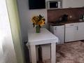 1-комнатная квартира · 28 м², Кокше 15 за 40 000 ₸ в Бурабае — фото 14