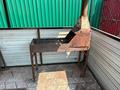 Жеке үй · 3 бөлме · 73 м², Акжайык 1, бағасы: 40 000 ₸ в Бурабае — фото 13