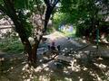 Отдельный дом · 5 комнат · 80 м² · 6.5 сот., Батурина 9 — Возле ул. Батурина, недалеко от Дворца школьников и Кок-Тобе за 150 млн ₸ в Алматы, Медеуский р-н — фото 5