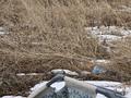 Участок · 7.4 сотки, Горького за 19 млн ₸ в Бельбулаке (Мичурино) — фото 18