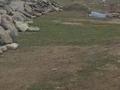 Жер телімі 11 сотық, Аманкелды, бағасы: 4 млн 〒 в Туркестане — фото 7