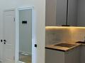 2-бөлмелі пәтер · 47 м² · 8/12 қабат, мкр Дарабоз 100, бағасы: 300 000 ₸ в Алматы, Алатауский р-н — фото 4